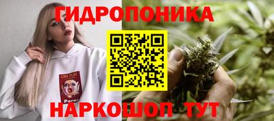 a pvp Бузулук