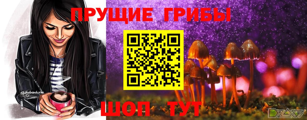 Псилоцибиновые грибы Magic Shrooms Мурино