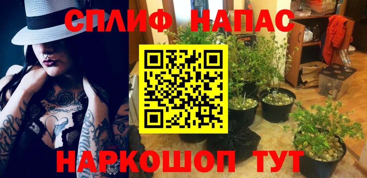 Бошки Шишки конопля  Вход с VPN  Мурино  МАРИХУАНА семена  Марихуана марихуана 